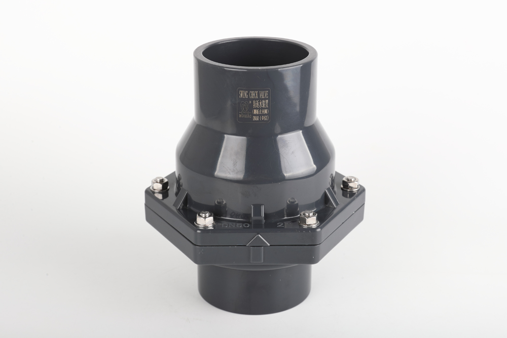 北戴河翻板式止回阀